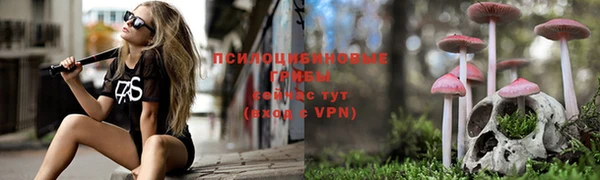 MDMA Premium VHQ Гусь-Хрустальный