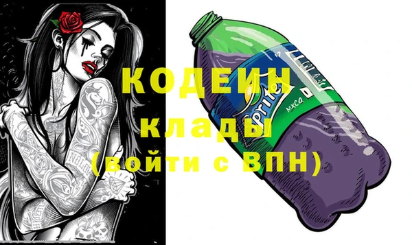первитин Гусев
