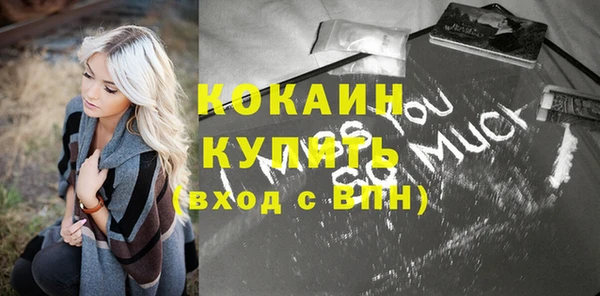 винт Дмитриев