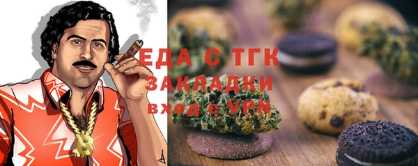 первитин Гусев