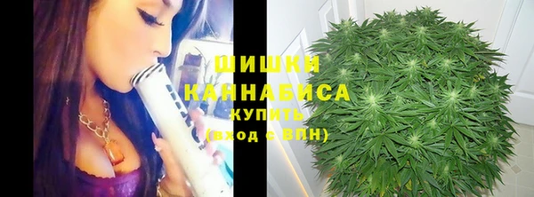винт Дмитриев