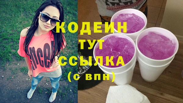 первитин Гусев