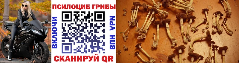 Галлюциногенные грибы Magic Shrooms  площадка официальный сайт  Орлов  наркотики 